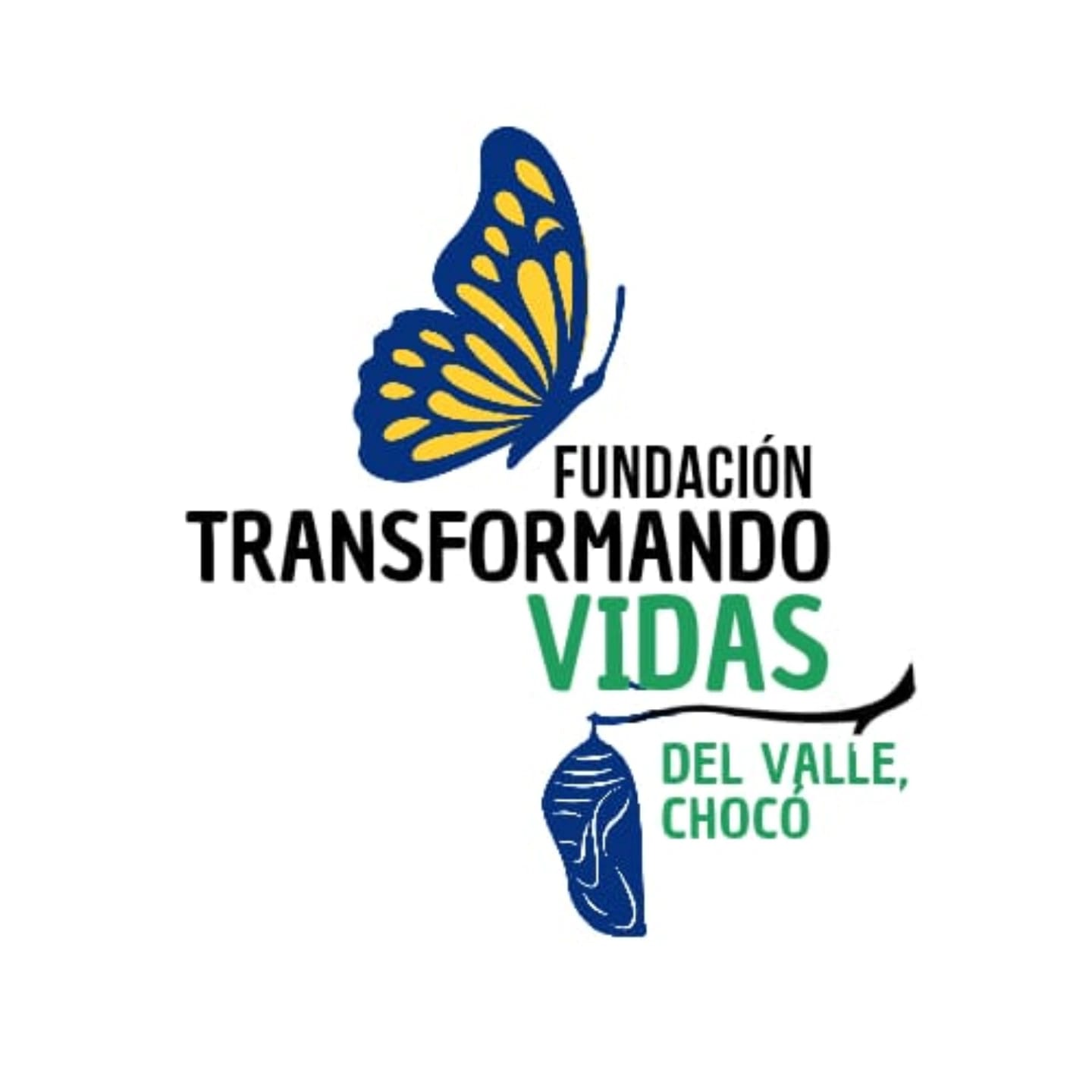 Logo de la Fundación Transformando Vidas del Valle del Chocó